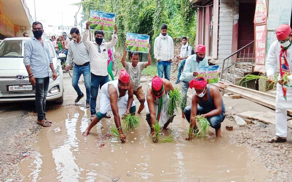 वाराणसी: समाजवादी लोहिया वाहिनी के कार्यकर्ताओं ने की सड़क के गड्ढे में धान की रोपाई