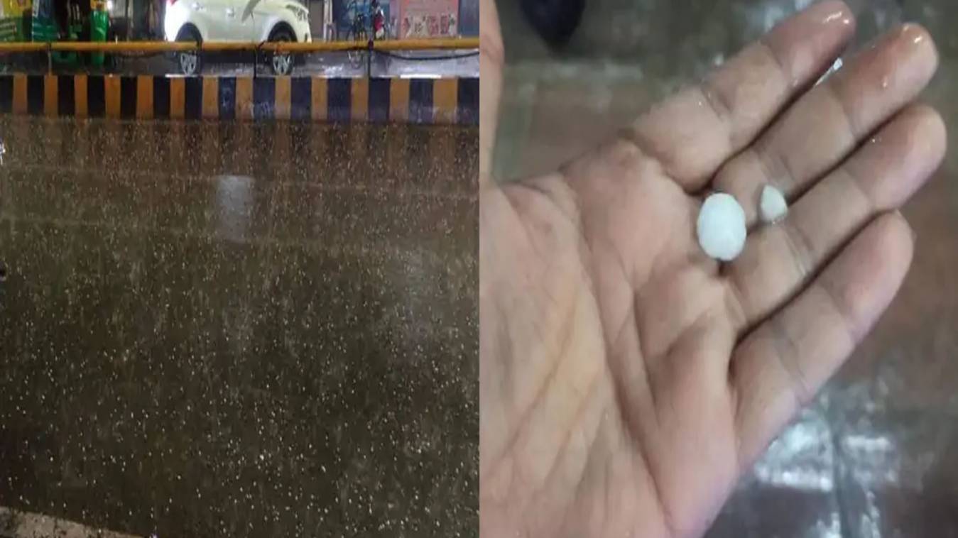 ओलावृष्टि ने बढ़ाई किसानों की चिंता,फसलों का हुआ नुकसान 