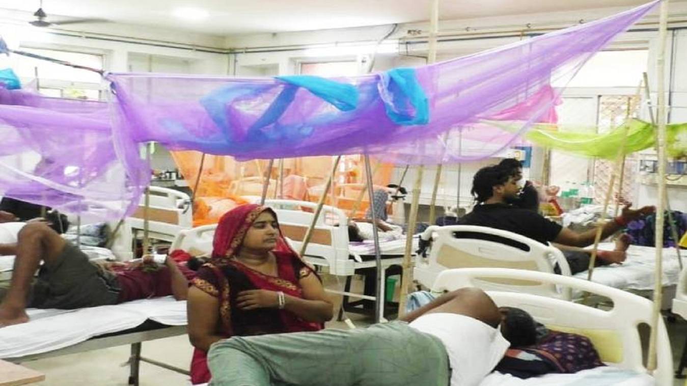 वाराणसी में डेंगू का कहर: मरीजों की संख्या 244, प्लेटलेट्स की किल्लत