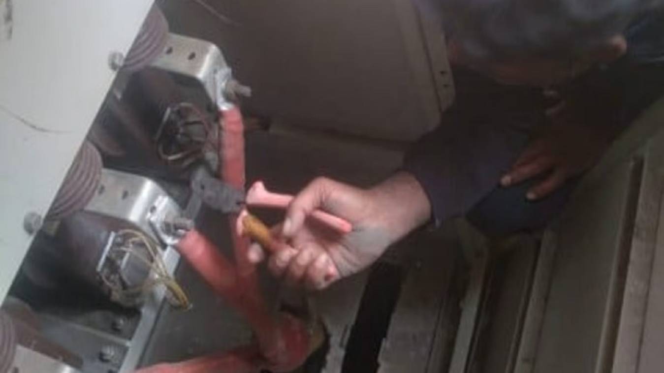 छिपकली ने रोकी शहर के ढाई हजार घरों की बिजली