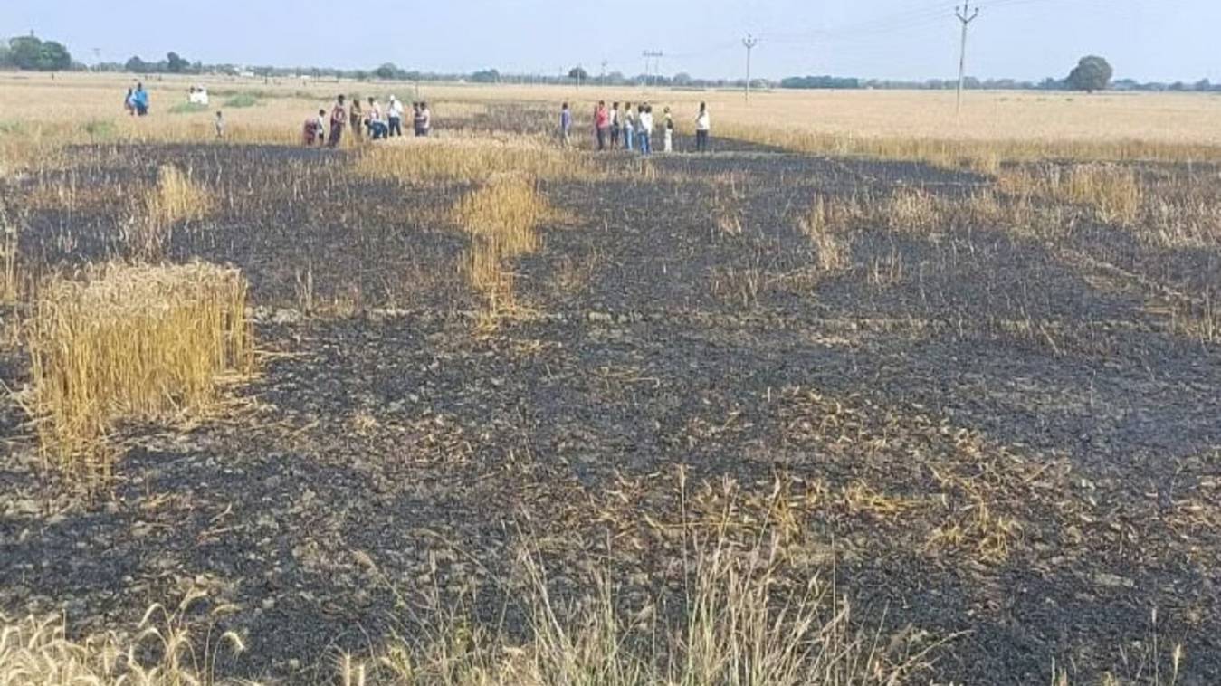 हाईटेंशन लाइन की चिंगारी से लगी आग, 7 बीघा गेहूं की फसल जलकर राख 