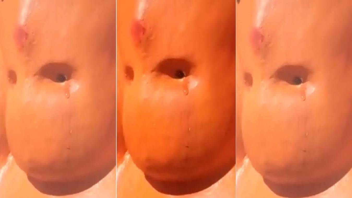 हनुमानजी की प्रतिमा से बहने लगे आंसू !, वीडियो वायरल होने के बाद दर्शन के लिए लगी भीड़ 