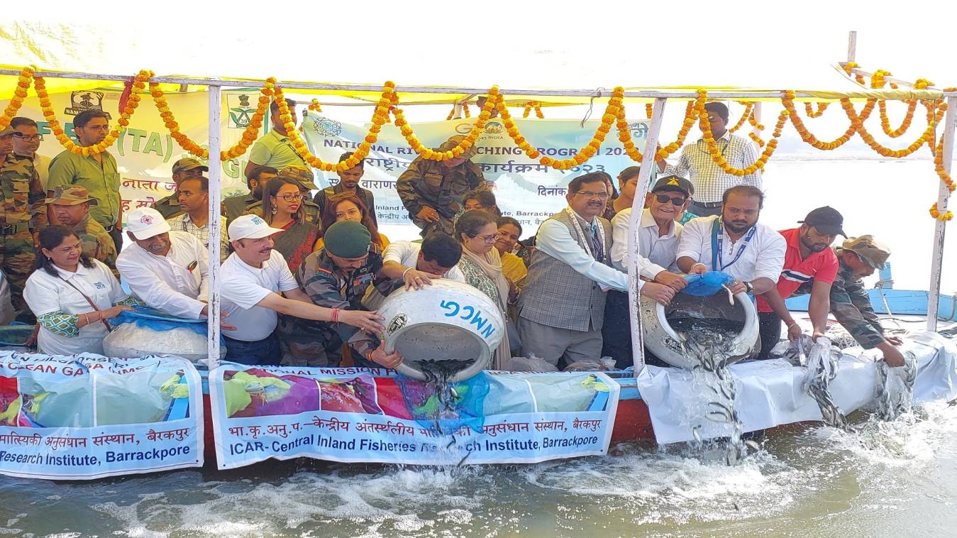 वाराणसी के रविदास घाट पर छोड़ी गई दो लाख से अधिक मछलियां, NMCG के तहत हो रहा कार्यक्रम