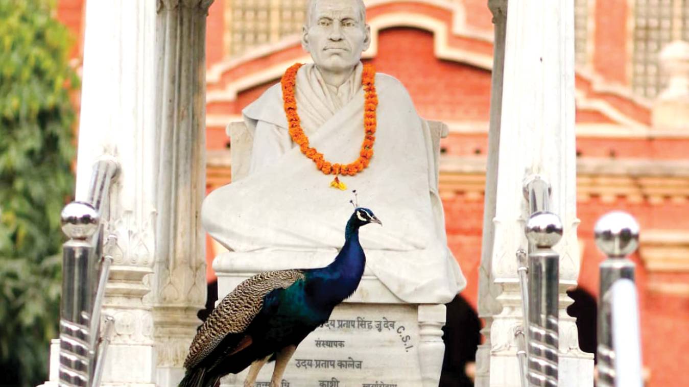 राजर्षि के विद्यार्थी लहरा रहे है दुनियाभर में अपनी योग्यता का परचम 