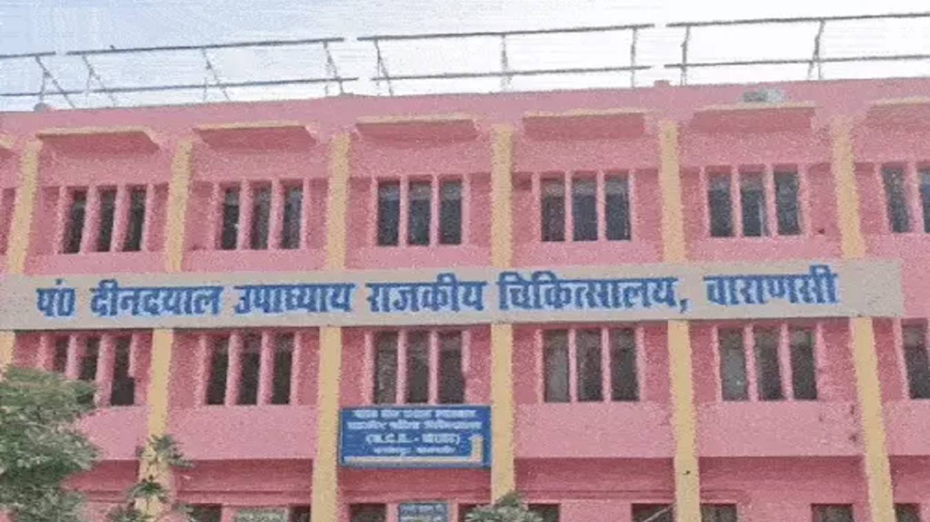 CMS को हटाने के लिए डॉक्टर बांधेंगे काली पट्टी, ओपीडी के बाद देंगे धरना