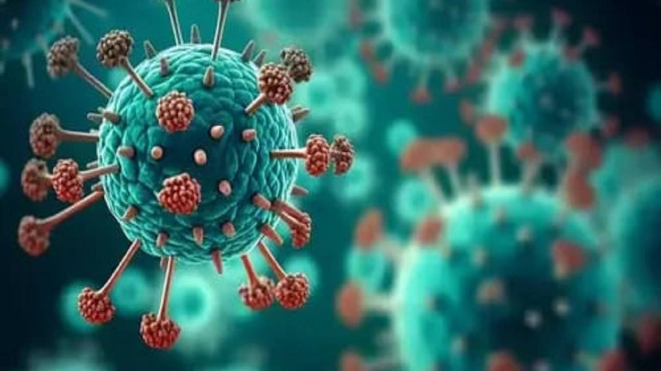 दावा :  एचएमपीवी वायरस कोरोना से भी बड़ा लेकिन खतरा उससे कम