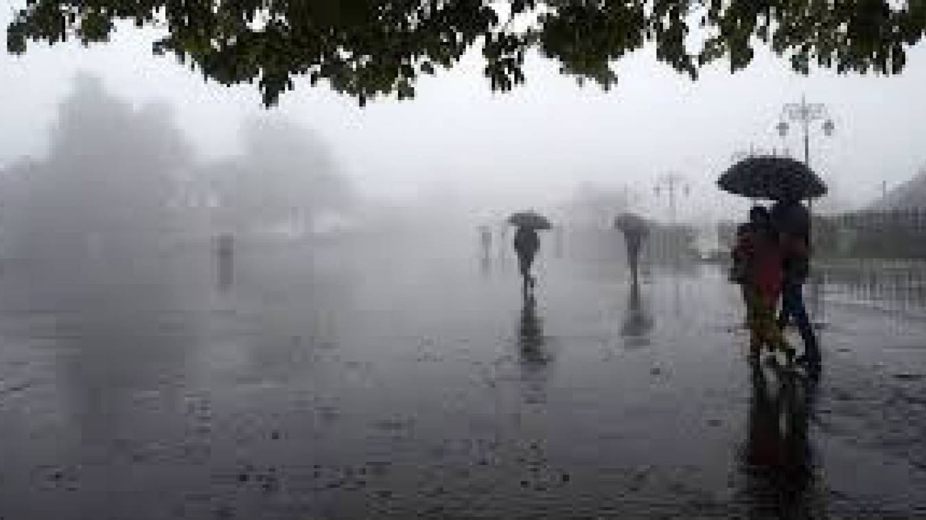 24 जिलों में घना कोहरा, तीन दिन तक लगातार बारिश की आशंका