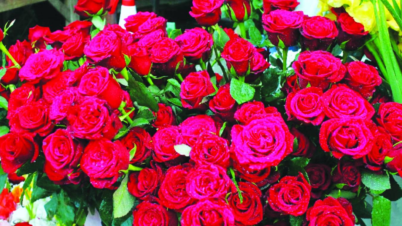 शुरू हुआ वैलेंटाइन वीक तो गुलाब के बढ़े भाव