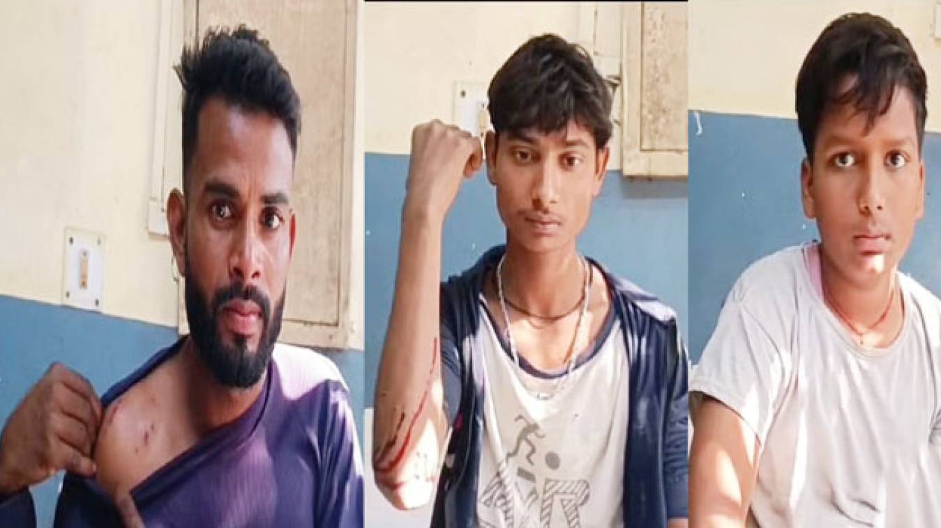 तेंदुए के हमले से चार लोग घायल