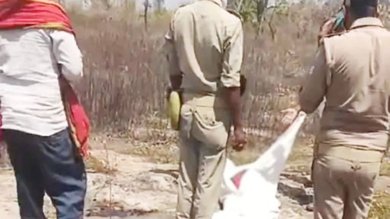 चिरूई जंगल में मिले दो बुजुर्गों के शव