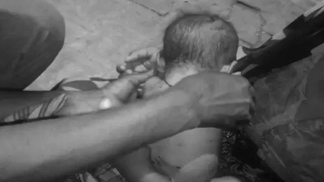 फर्रुखाबाद में 5 महीने के बच्चे को आवारा कुत्तों ने नोच-नोचकर मार डाला, पीठ पर 50 से ज्यादा जख्म