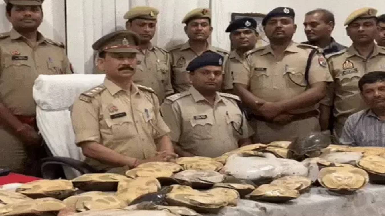 Varanasi : रेलवे स्टेशन पर वन्य जीव तस्करी का भंडाफोड़, ट्रेन की बोगी में 6 बैग में भरे मिले 60 जीवित कछुए