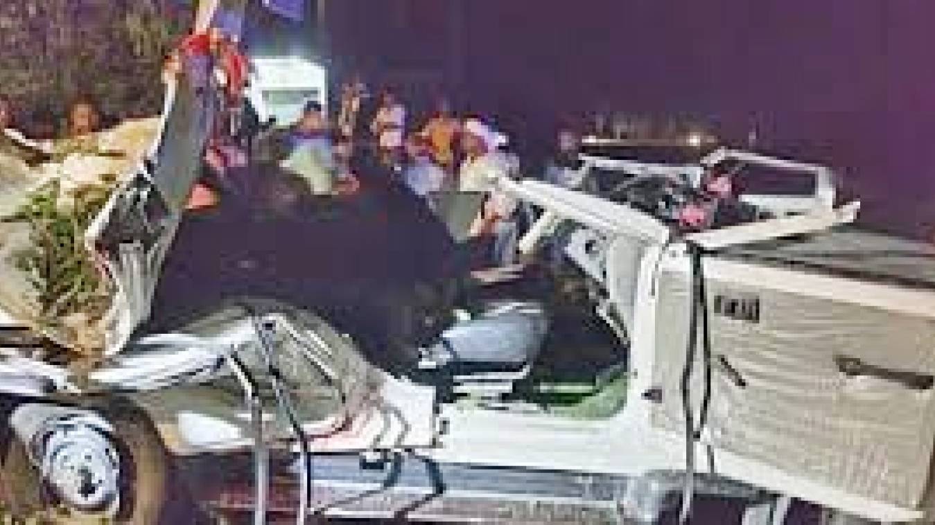 चलती बोलेरो पर गिरा पेड़, चालक समेत दो की  मौत