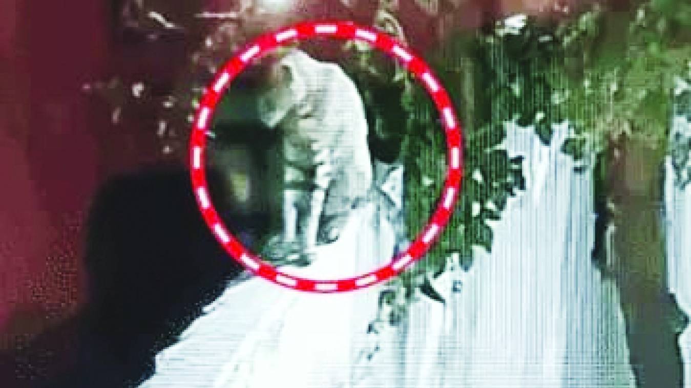 वाराणसी में फिर एक वीडियो ने बढ़ाया तेंदुए का खौफ