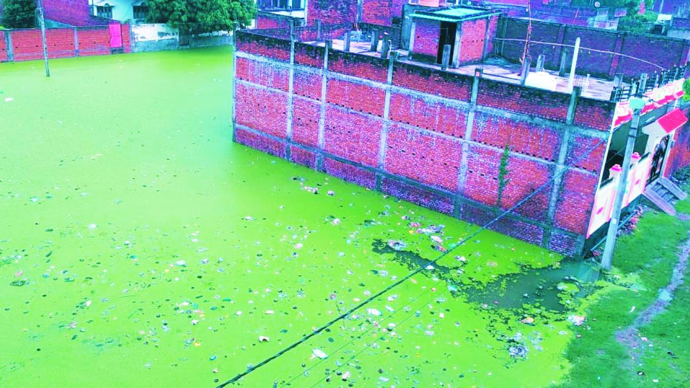 साहब ! रत्तापुर को नहीं मालूम विकास किस चिड़िया का नाम है 