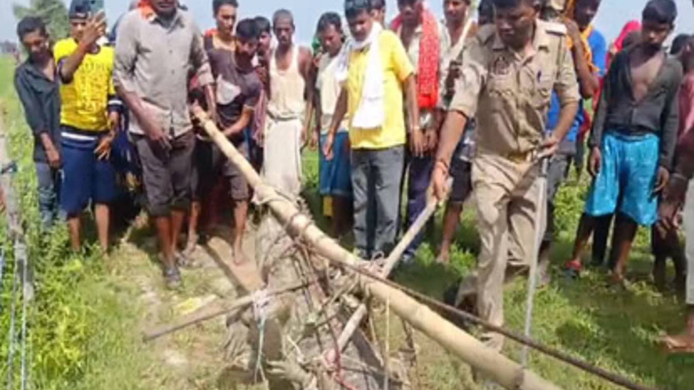 मिर्जापुर: गांव में घुसा सात फीट लंबा मगरमच्छ, वन विभाग ने सुरक्षित जलाशय में छोड़ा