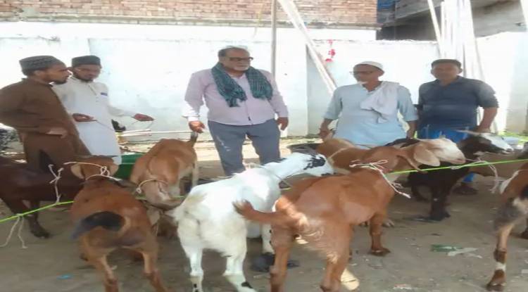 10 को होगी बकरीद, तैयारियां शुरू, नहीं लगेगा बेनियाबाग में कुर्बानी बकरों का बाजार