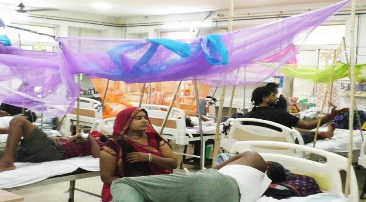 वाराणसी में डेंगू का कहर: मरीजों की संख्या 244, प्लेटलेट्स की किल्लत
