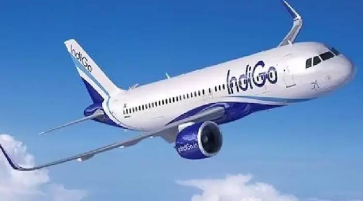 Indigo Flight: मैंगलोर एयरपोर्ट पर इंडिगो की फ्लाइट से टकराया पक्षी, बाल-बाल बचे दुबई जा रहे यात्री