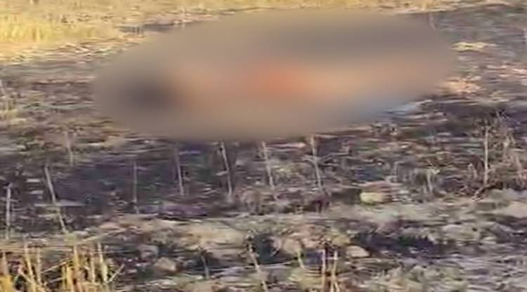 गोरखपुर में प्रेमी जोड़े की अर्धनग्न मिली लाश, दो दिन से थे घर से फरार…