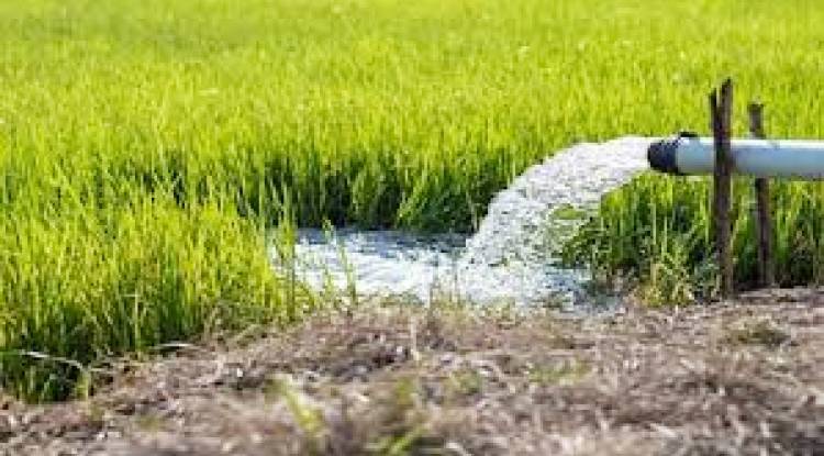 किसानों के लिए खुशखबरी! सोलर पंप के लिए सरकार देगी 90% सब्सिडी, बिजली बिल की नो टेंशन, जानें कैसे करें आवेदन