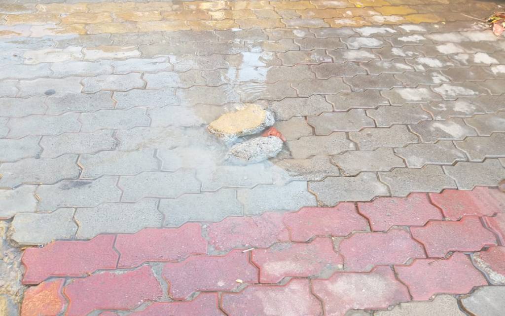 असी जगन्नाथ मंदिर मार्ग पर बर्बाद हो रहा पानी