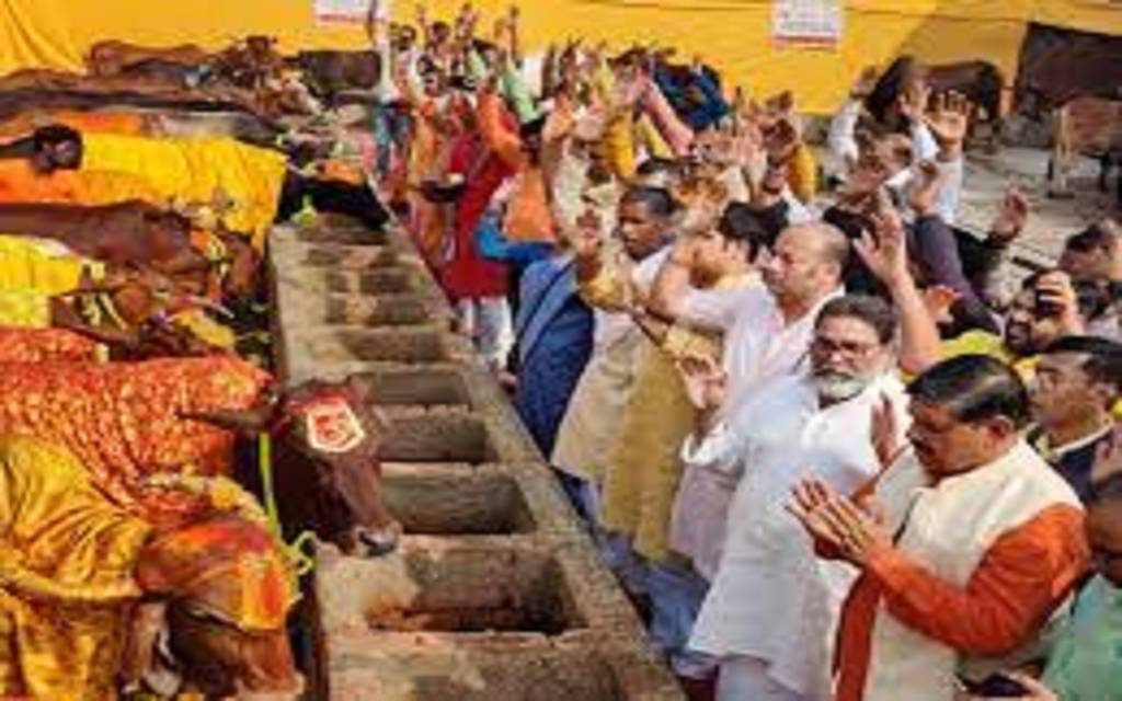 Gopashtami 2022: मंदिरों और मठों की गोशालाओं में पूजी गई गौमाताएं 