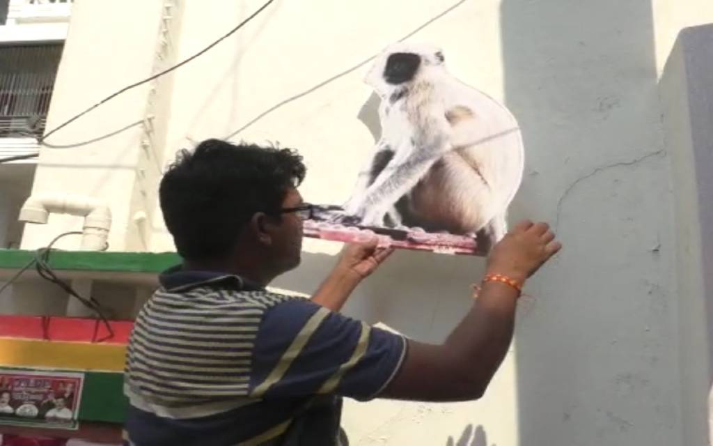 varanasi : बंदरों के उत्पात से बचने के लिए अनोखा जुगाड़, घरों में लंगूरों का कटआउट देख भाग रहे बंदर