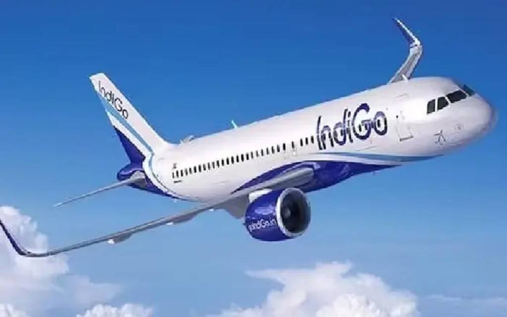 Indigo Flight: मैंगलोर एयरपोर्ट पर इंडिगो की फ्लाइट से टकराया पक्षी, बाल-बाल बचे दुबई जा रहे यात्री