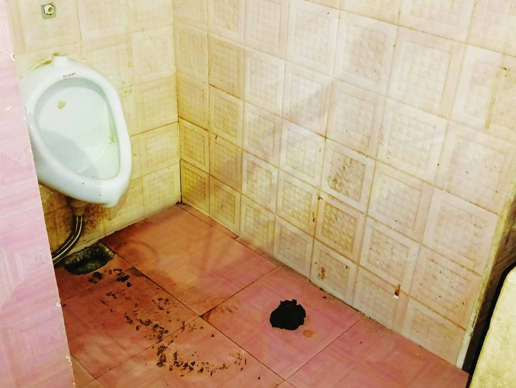 स्वच्छता अभियान को मुंह चिढ़ाता सार्वजनिक शौचालय 