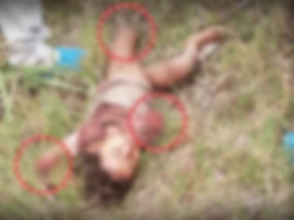 बहराइच में फिर आया भेड़िया; मां के बगल में सो रहे 2 साल के बच्चे को उठा ले गया, बनाया निवाला