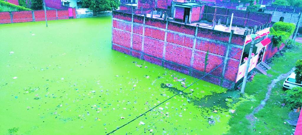 साहब ! रत्तापुर को नहीं मालूम विकास किस चिड़िया का नाम है