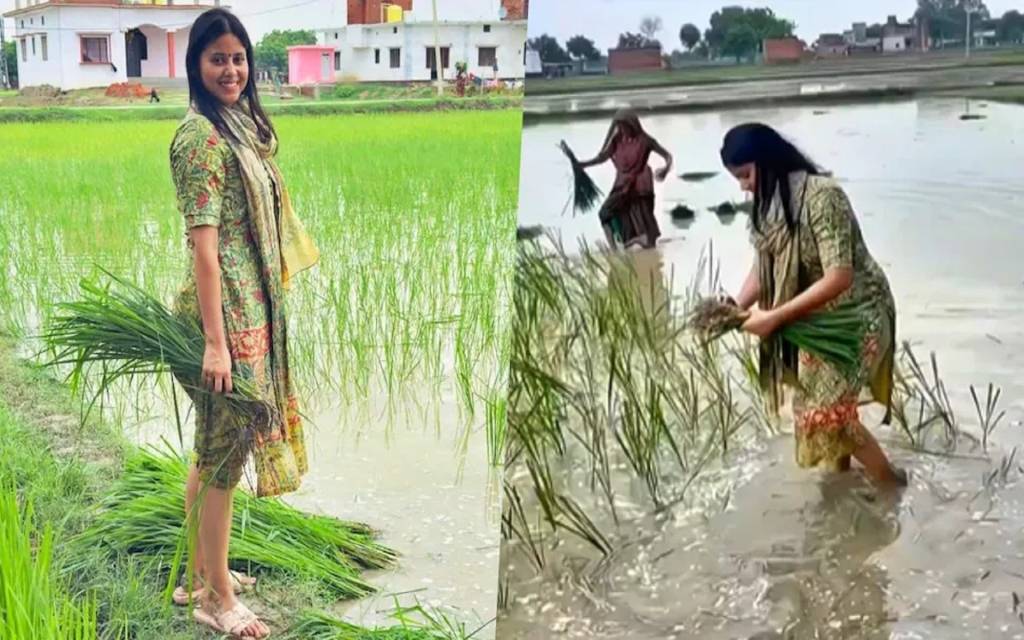 सपा सांसद प्रिया सरोज ने धान की रोपाई , सोशल मीडिया पर वीडियो वायरल, लोग बोले- जमीन से जुड़ी हैं....