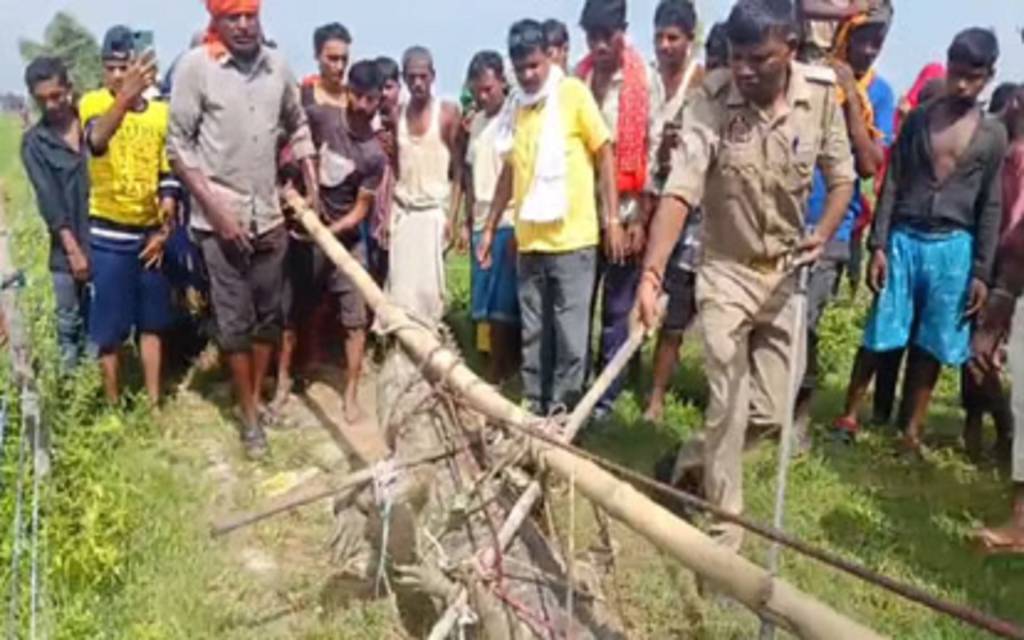 मिर्जापुर: गांव में घुसा सात फीट लंबा मगरमच्छ, वन विभाग ने सुरक्षित जलाशय में छोड़ा