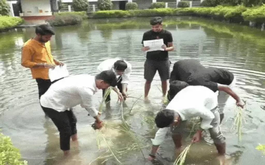 दीक्षांत समारोह से पहले काशी विद्यापीठ में छात्रों का अनोखा विरोध, पार्क में धान रोपकर दिखाया भ्रष्टाचार को आईना