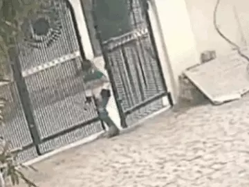 वाराणसी में बंदरों का आतंक, 6 साल के बच्चे पर हमला, CCTV में कैद हुई घटना