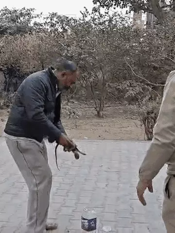 कोबरा लेकर अस्पताल पहुंचा ई-रिक्शा चालक, इमरजेंसी वार्ड में मचा हड़कंप