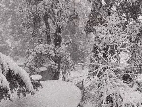 हिमाचल की ऊंची चोटियों पर फिर बर्फ की सफेदी, ऑरेंज अलर्ट से बढ़ी मुश्किलें