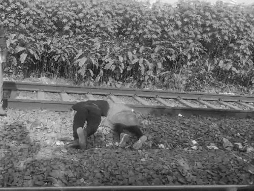 लखनऊ में दिल दहला देने वाली घटना : वंदे भारत के आगे कूदे युवक-युवती, टुकड़ों में बंटी लाशें