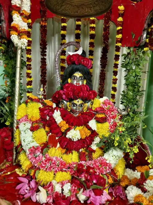 बसंत पंचमी पर काशी में हुआ बाबा विश्वनाथ का तिलकोत्सव, लोकपरंपरा में सहभागी बनी पूरी नगरी