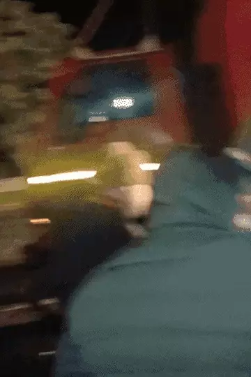 मथुरा में यमुना एक्सप्रेस-वे पर भीषण हादसा: बस से उतरे यात्रियों को कंटेनर ने रौंदा, 6 की मौत