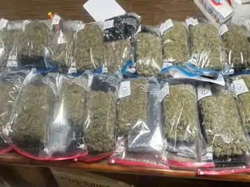 लखनऊ एयरपोर्ट पर बड़ी कार्रवाई: बैंकॉक से आए यात्री के बैग में 2.05 करोड़ का हाइड्रोपोनिक गांजा बरामद