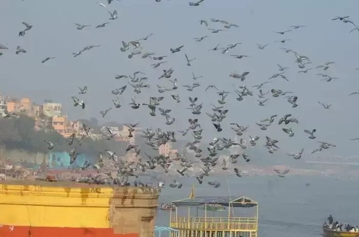 चढ़ने लगा पारा, तीखी हुई धूप