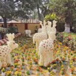 कंपनी बाग में मंडलीय शाकभाजी, फल व पुष्प प्रदर्शनी का आयोजन, किसानों ने दिखाई नवाचार की झलक