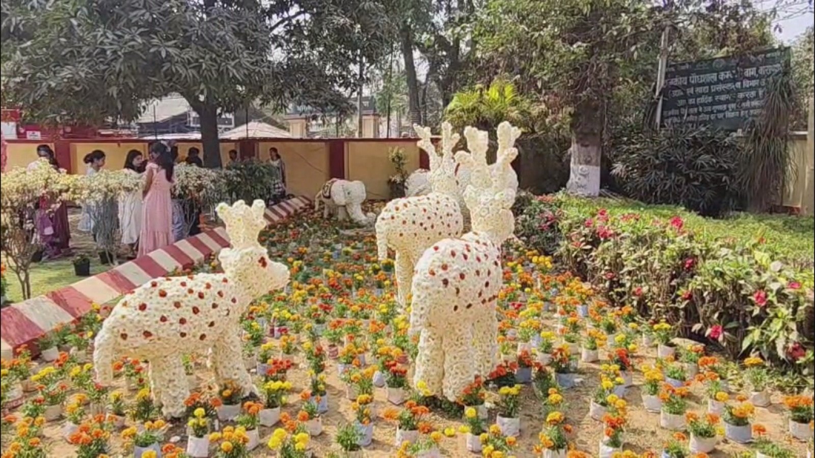 कंपनी बाग में मंडलीय शाकभाजी, फल व पुष्प प्रदर्शनी का आयोजन, किसानों ने दिखाई नवाचार की झलक