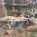 गहरे समुद्र से कैंसर शोध तक नई राहें