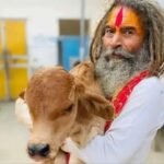 मथुरा में ट्रक हादसे में गौ रक्षक बाबा की मौत, हाईवे जाम के बाद बवाल- पथराव और लाठीचार्ज से हालात तनावपूर्ण