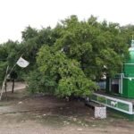 हजरत तैयब शाह बनारसी के उर्स पर उमड़ी अकीदत