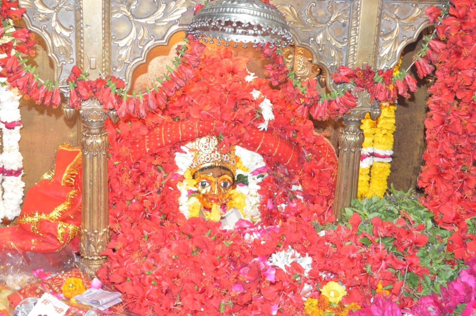 शीतला अष्टमी पर रखा व्रत, मां भगवती की हुई पूजा