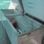 लखनऊ में फ्रीजर से मिला युवक का शव: 4 दिन से बंद थी वेज बिरयानी की दुकान, आधार कार्ड से हुई पहचान